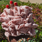 Linen Hair Scrunchies - Blush