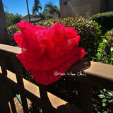 XL Lace Hair Scrunchies - Hot Pink