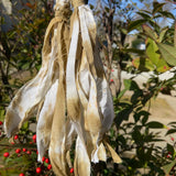 Cotton Tie Dye Bohemian Tassel Earrings - Raw Linens